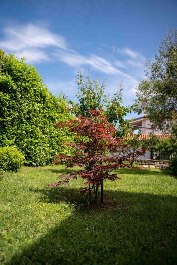 Soraja Apartments Izola Luaran gambar